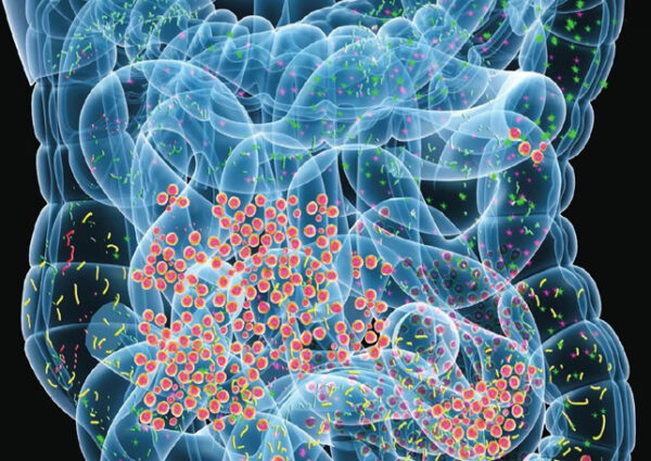 Microbiome Course