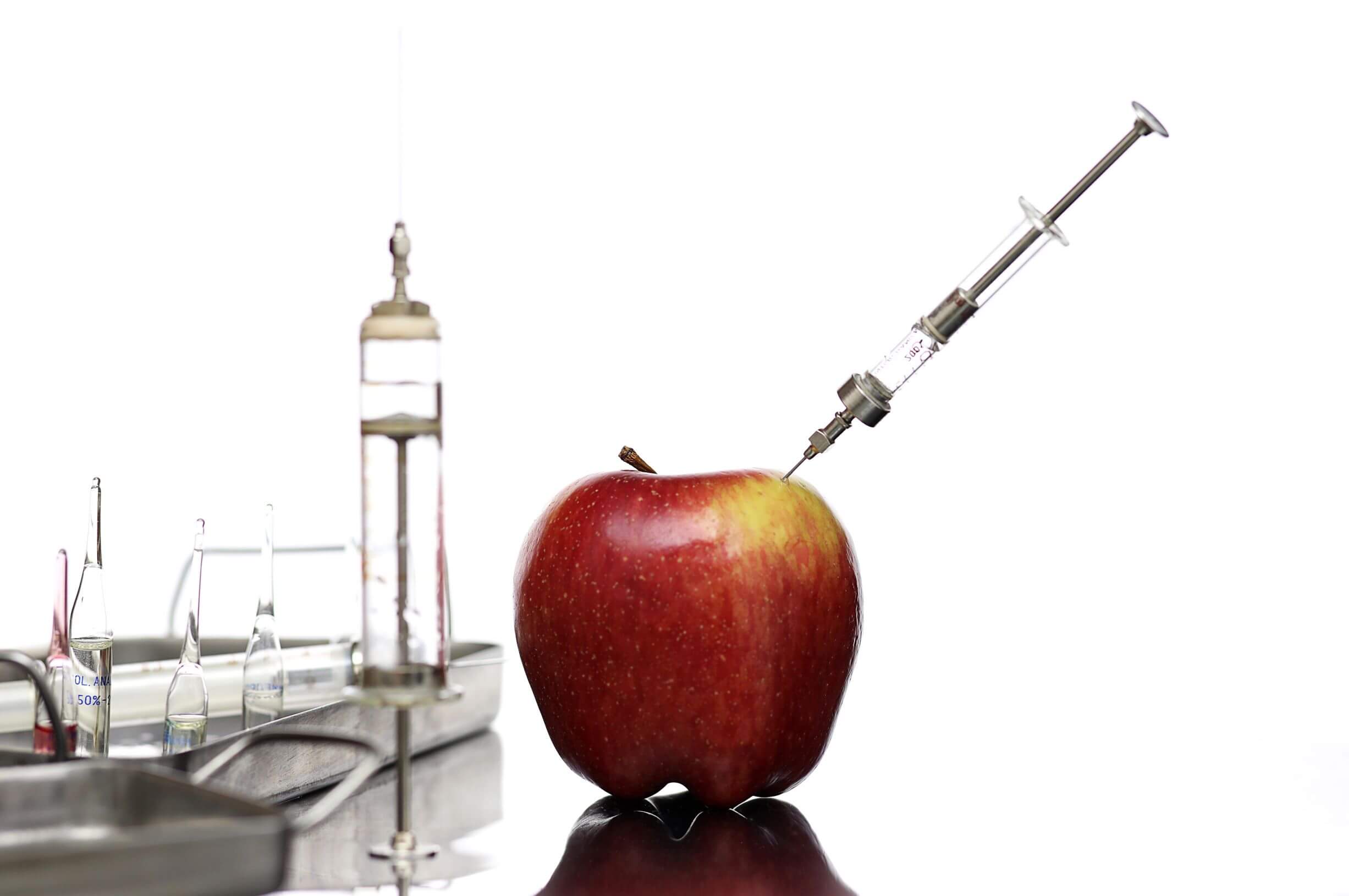 Module 3 - Food Chemicals and weight gain - SMALL