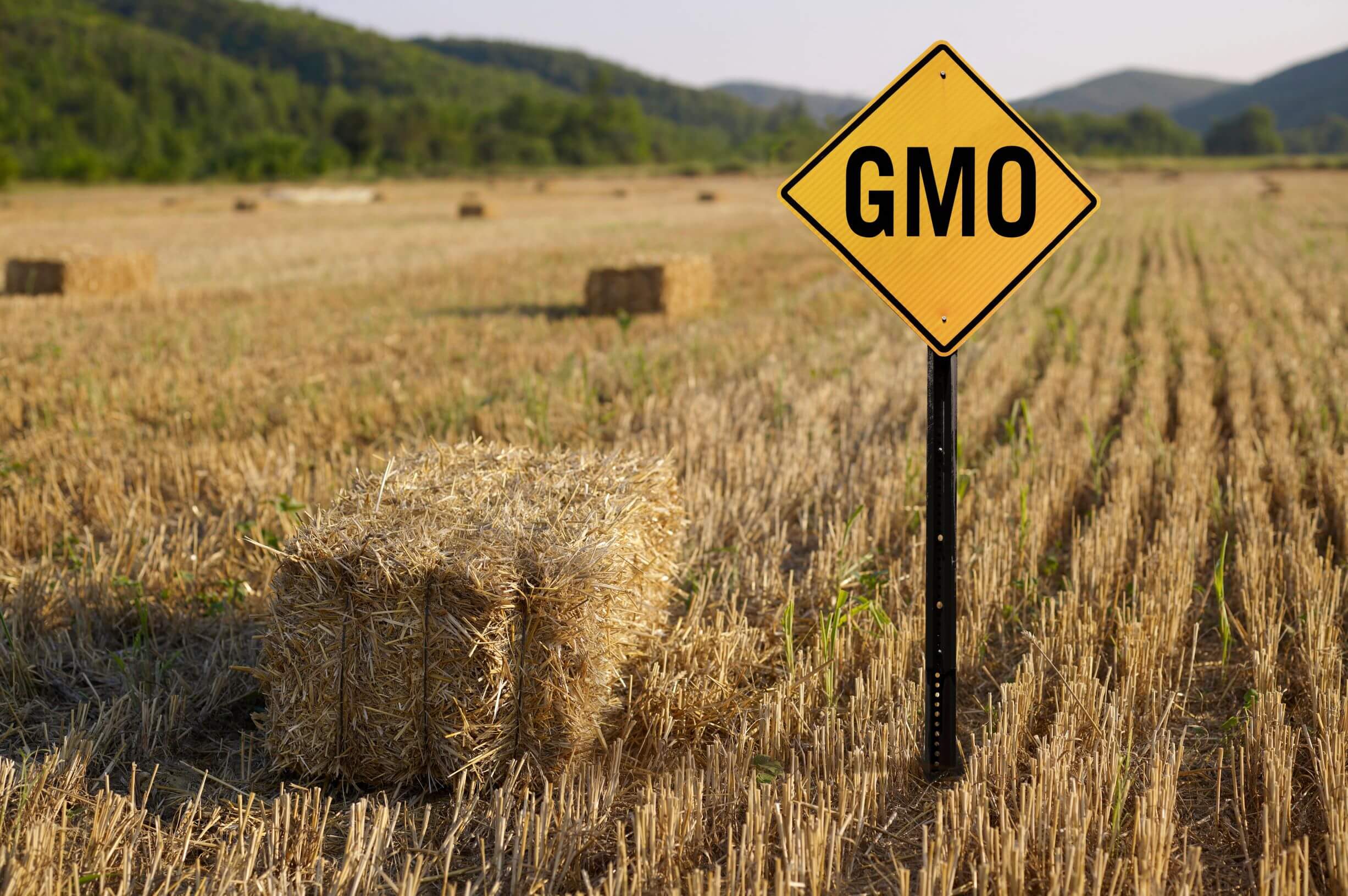 Module 9 -Impact of GMO foods on health - small