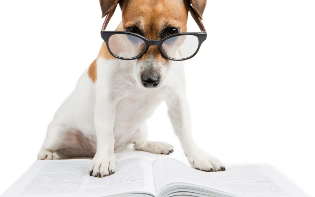 Referencing – Why it is so important