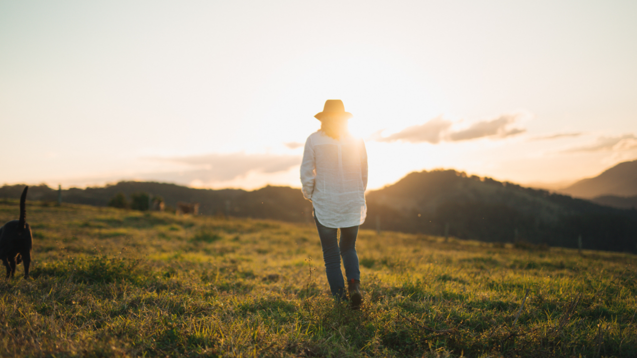 Top 10 Natural Sources of Vitamin D - The Nutrition Academy
