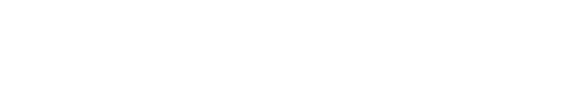About Syntropics-2
