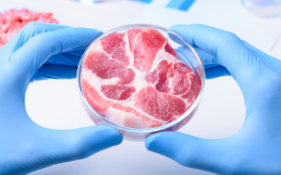 What Actually is Lab-Grown Meat?