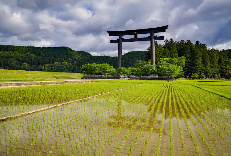 Japan 2024 Website (1)