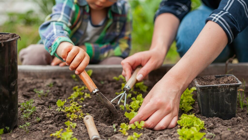 header image; gardening