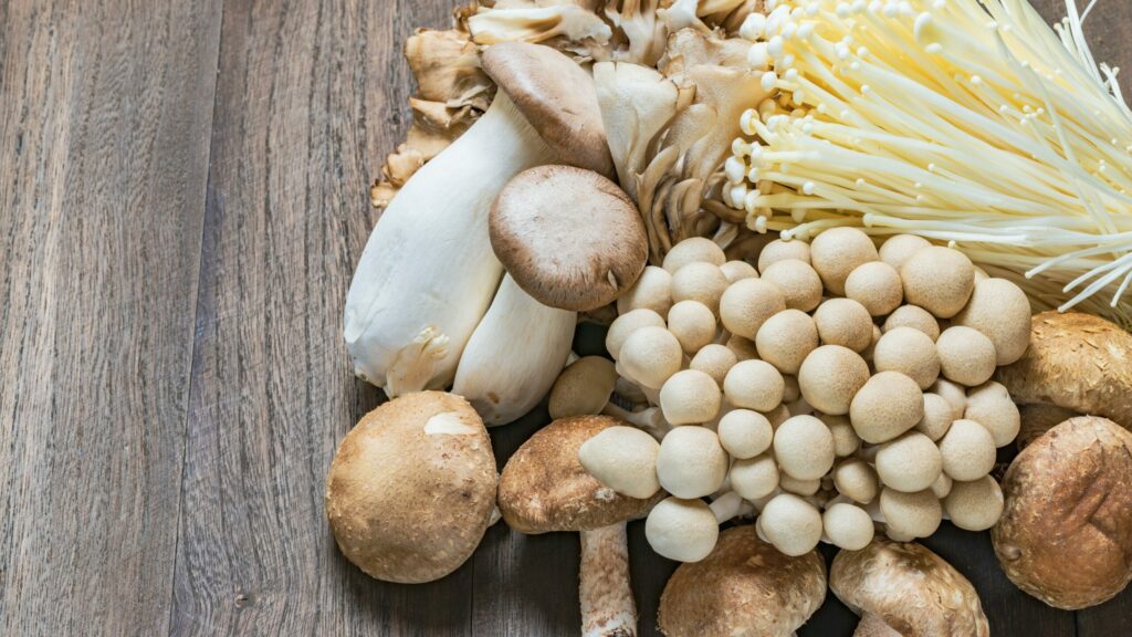 All different kinds of mushrooms