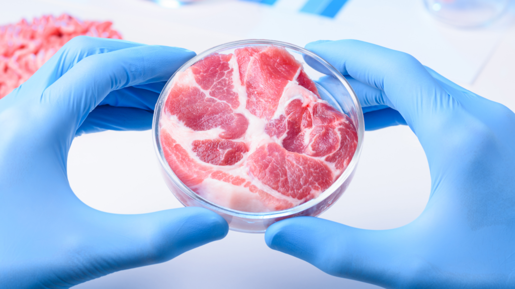 Lab grown meat