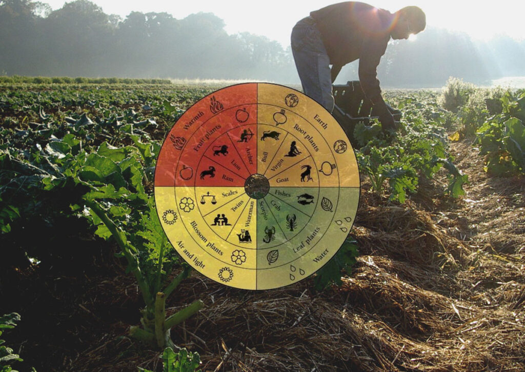 header image; dynamics graphic
