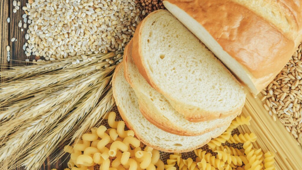 header image; wheat