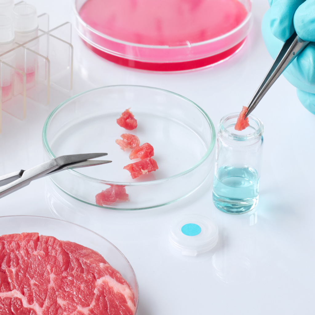 header image; cultured meat