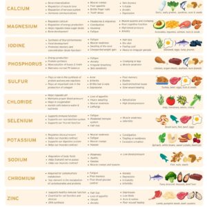 The Nutrition Academy Papaya Vitamin & Mineral Downloadable Posters - Image 2
