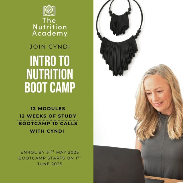 Introduction to Nutrition Bootcamp with Cyndi