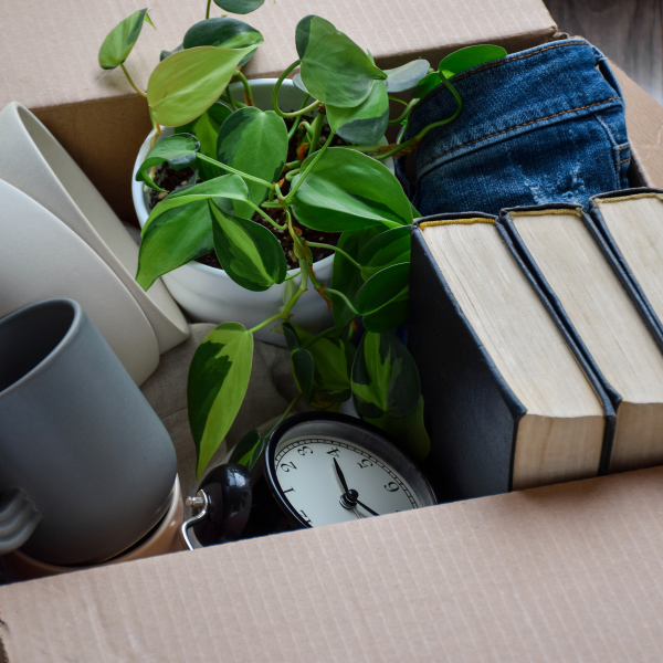 header image; box with stuff in it